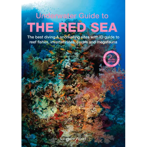 An Underwater Guide to the Red Sea - Paperback
