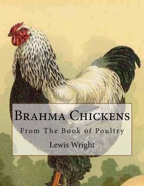 Brahma Chickens: From The Book of Poultry - Paperback