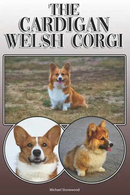 The Cardigan Welsh Corgi: A Complete and Comprehensive Owners Guide To: Buying, Owning, Health, Grooming, Training, Obedience, Understanding and - Paperback