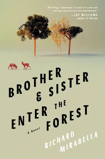 Brother & Sister Enter the Forest - Hardcover