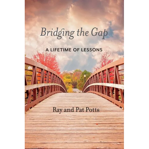 Bridging the Gap - Paperback