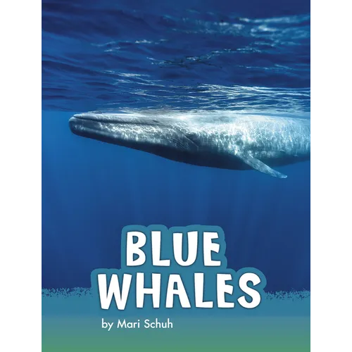 Blue Whales - Paperback
