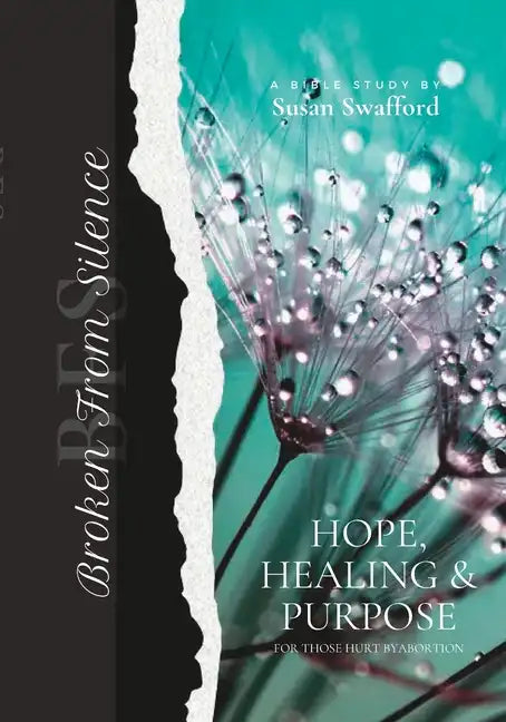 Broken From Silence: Helping Women be Set Free from the Guilt and Shame of Abortion - Paperback