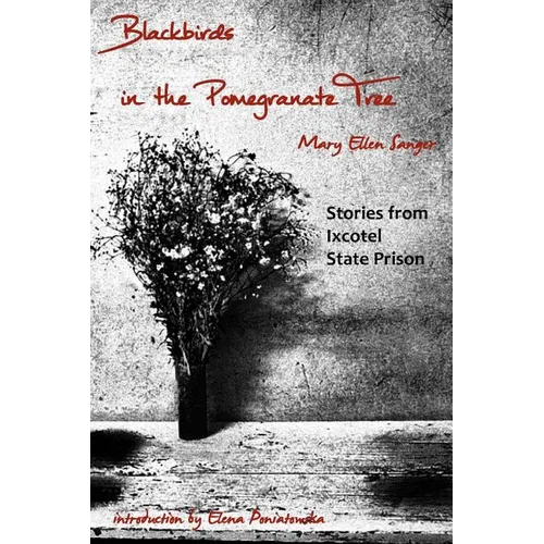 Blackbirds in the Pomegranate Tree: Stories from Ixcotel State Prison - Paperback