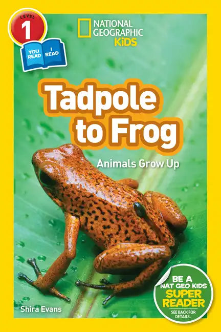 Tadpole to Frog (National Geographic Kids Readers, Level 1/Co-Reader): Animals Grow Up - Paperback