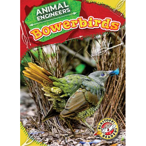 Bowerbirds - Library Binding