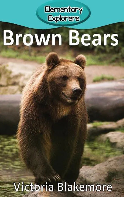 Brown Bears - Hardcover