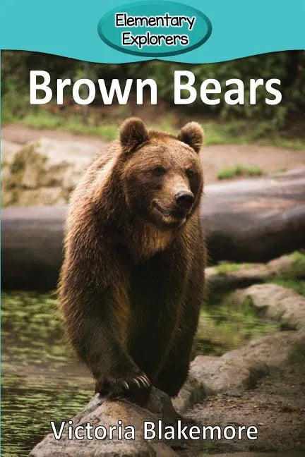 Brown Bears - Paperback