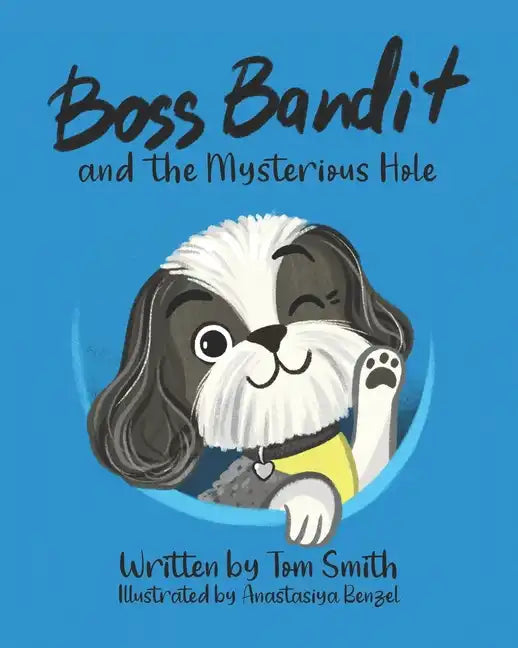 Boss Bandit and the Mysterious Hole - Paperback