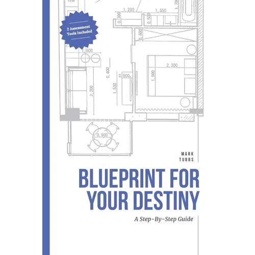Blueprint For Your Destiny - Paperback