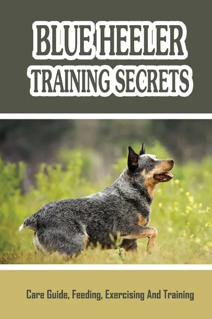 Blue Heeler Training Secrets: Care Guide, Feeding, Exercising And Training: Blue Heeler Breed Information - Paperback