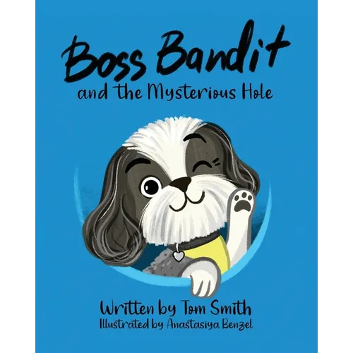 Boss Bandit and the Mysterious Hole - Paperback