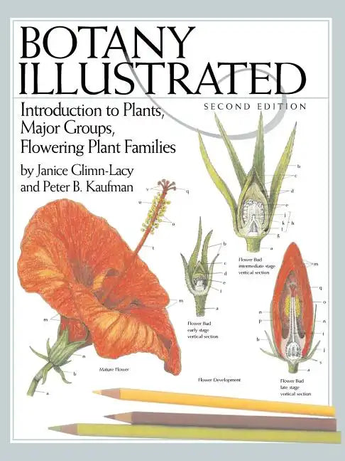 Botany Illustrated: Introduction to Plants, Major Groups, Flowering Plant Families - Paperback