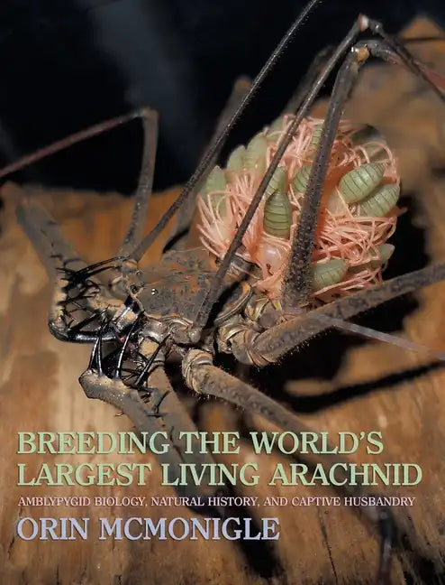 Breeding the World's Largest Living Arachnid: Amblypygid (Whipspider) Biology, Natural History, and Captive Husbandry - Hardcover