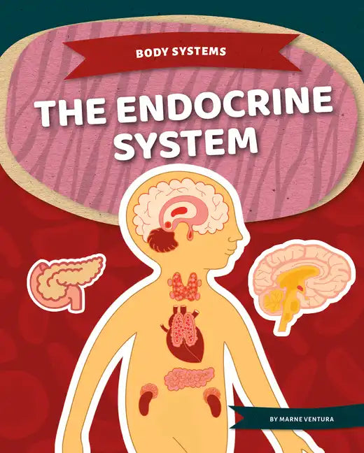 Endocrine System - Library Binding