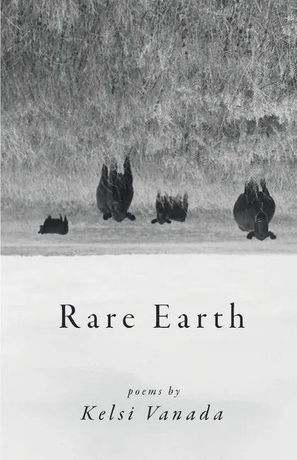 Rare Earth - Paperback