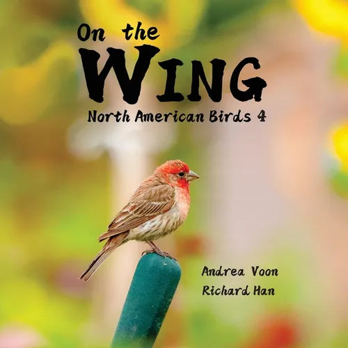 On the Wing - North American Birds 4 - Paperback