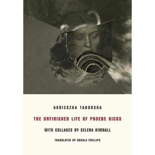 The Unfinished Life of Phoebe Hicks - Paperback