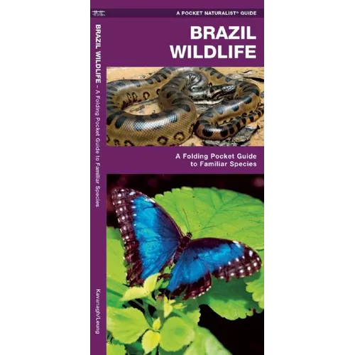 Brazil Wildlife: A Folding Pocket Guide to Familiar Animals - Paperback
