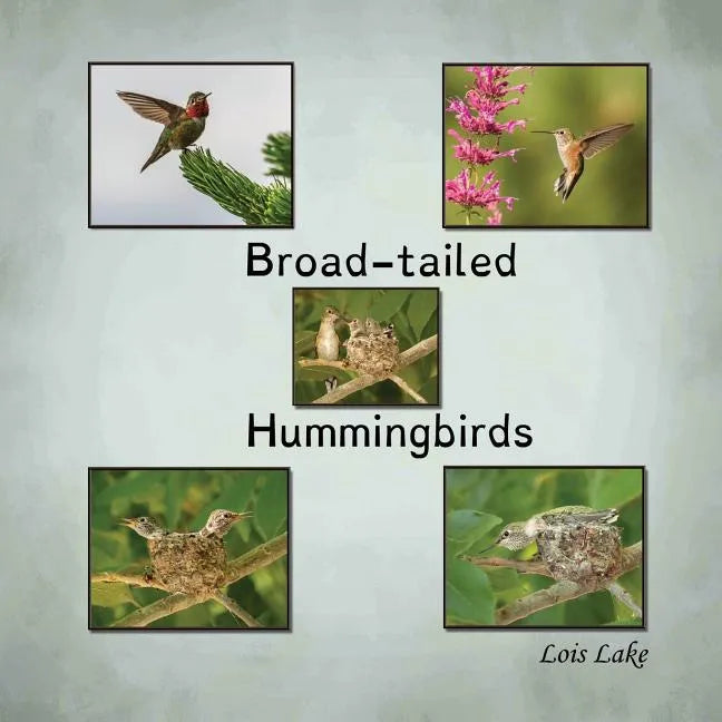 Broad-tailed Hummingbirds - Paperback