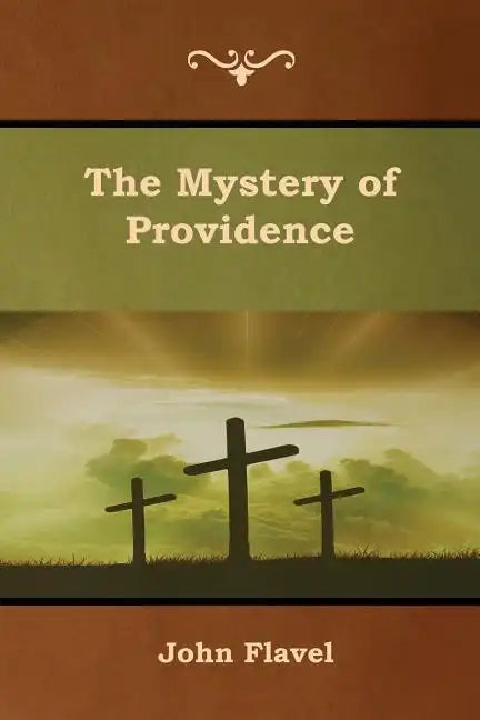 The Mystery of Providence - Paperback