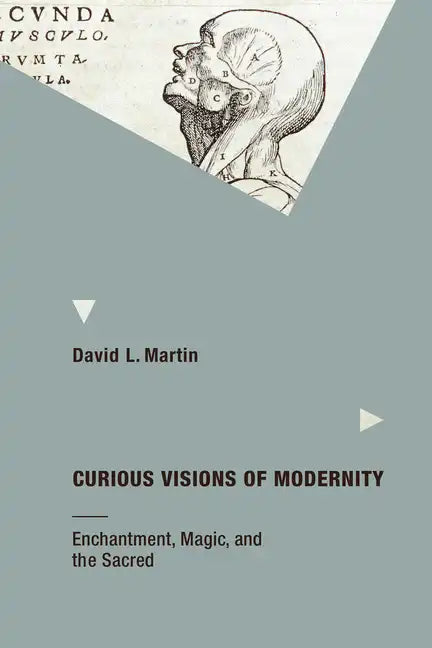 Curious Visions of Modernity: Enchantment, Magic, and the Sacred - Paperback