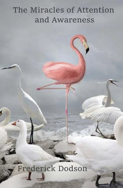 The Miracles of Attention and Awareness - Paperback