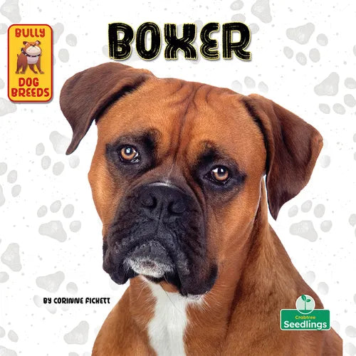 Boxer - Paperback