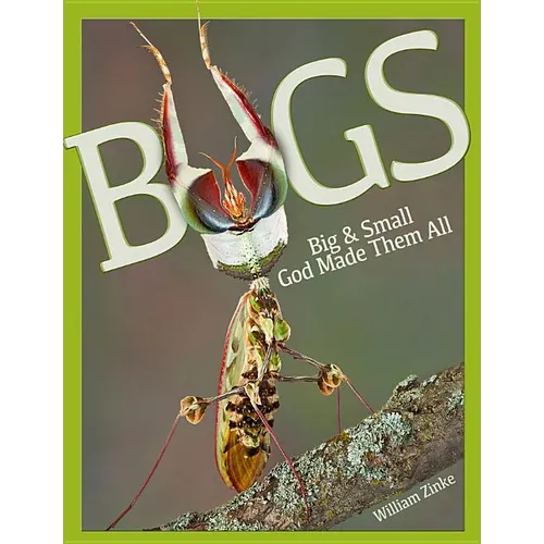 Bugs Big & Small: God Made Them All - Hardcover