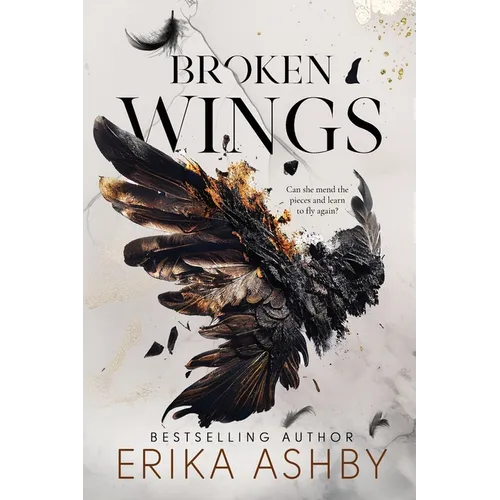 Broken Wings: A Military Romance - Paperback