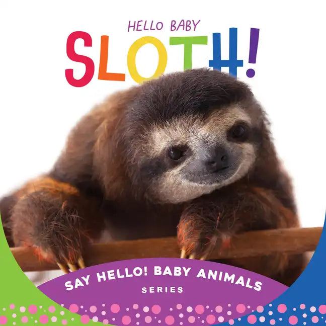 Hello Baby Sloth! - Board Book