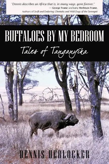 Buffaloes by My Bedroom - Paperback
