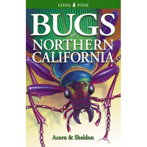 Bugs of Northern California - Paperback
