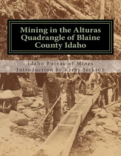 Mining in the Alturas Quadrangle of Blaine County Idaho - Paperback