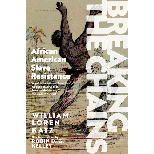 Breaking the Chains: African American Slave Resistance - Paperback