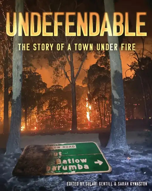 Undefendable: The Story of a Town Under Fire - Paperback
