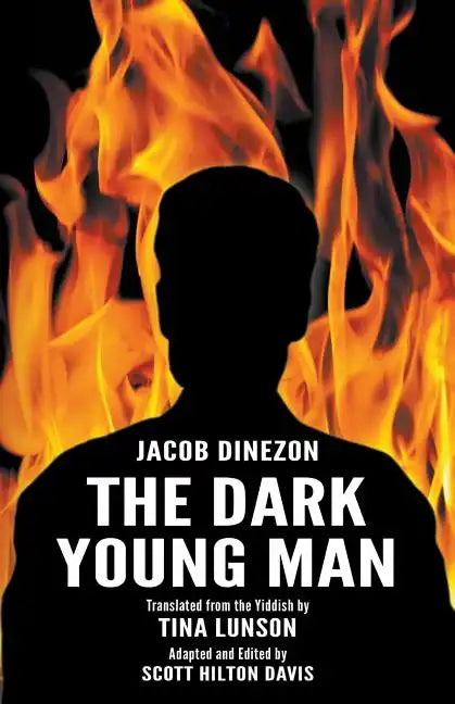 The Dark Young Man - Paperback