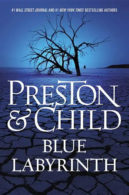 Blue Labyrinth - Hardcover