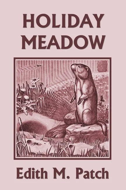 Holiday Meadow (Yesterday's Classics) - Paperback