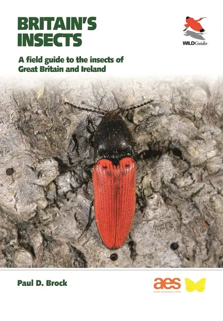 Britain's Insects: A Field Guide to the Insects of Great Britain and Ireland - Paperback