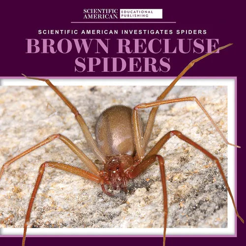 Brown Recluse Spiders - Library Binding