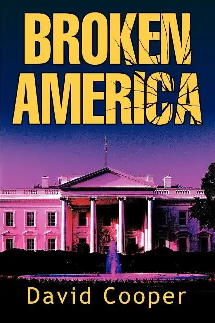 Broken America - Paperback