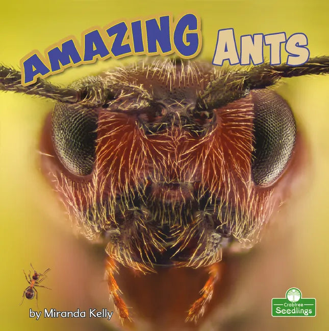 Amazing Ants - Paperback