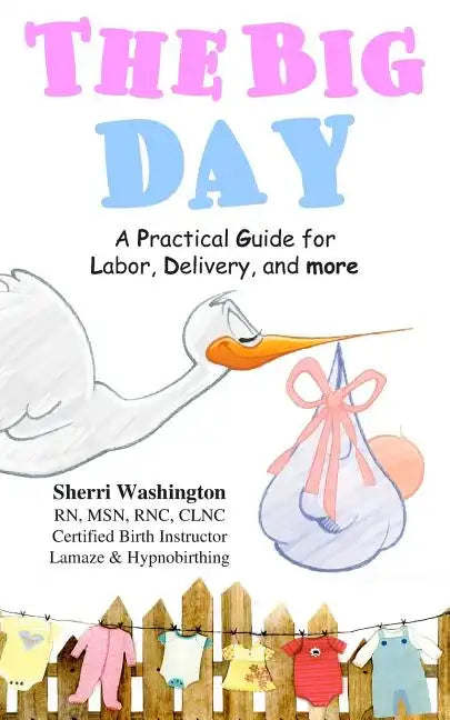 The Big Day: A Practical Guide for Labor, Delivery, and more - Paperback