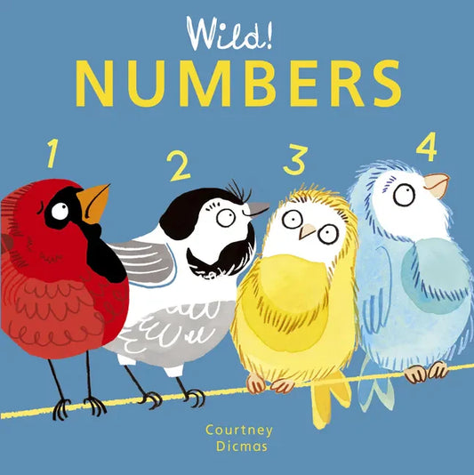 Numbers - Board Book