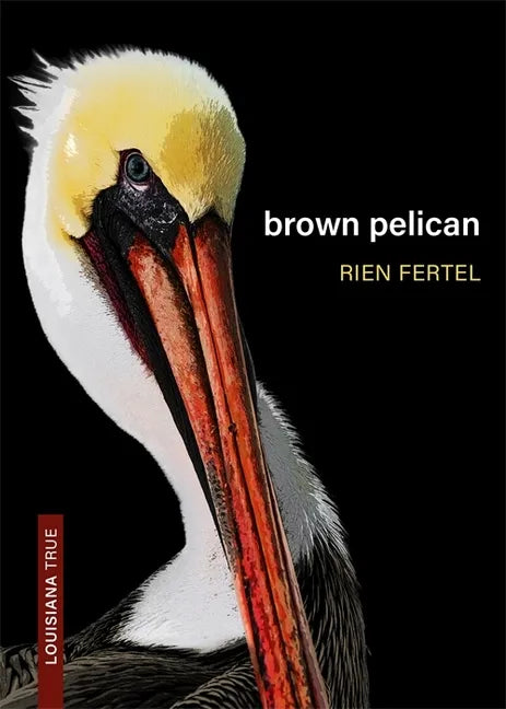 Brown Pelican - Paperback