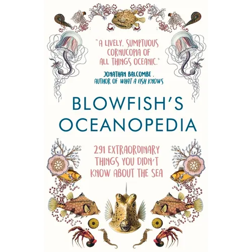 Blowfish's Oceanopedia: 291 Extraordinary Things You Didn't Know about the Sea - Paperback