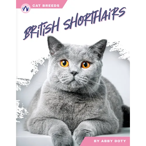 British Shorthairs - Paperback