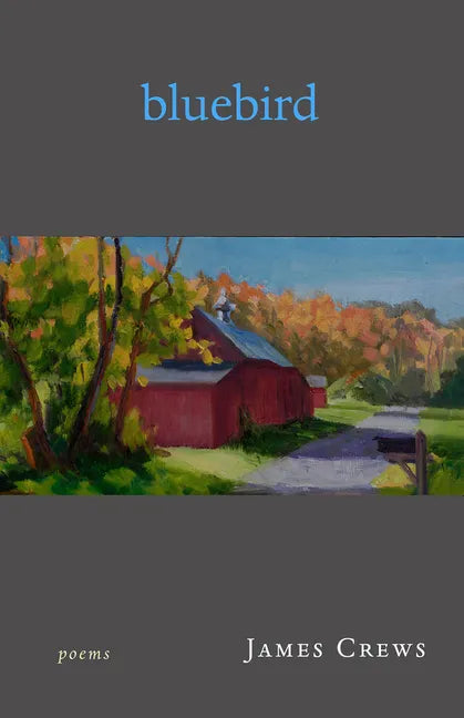 Bluebird: Poems - Paperback