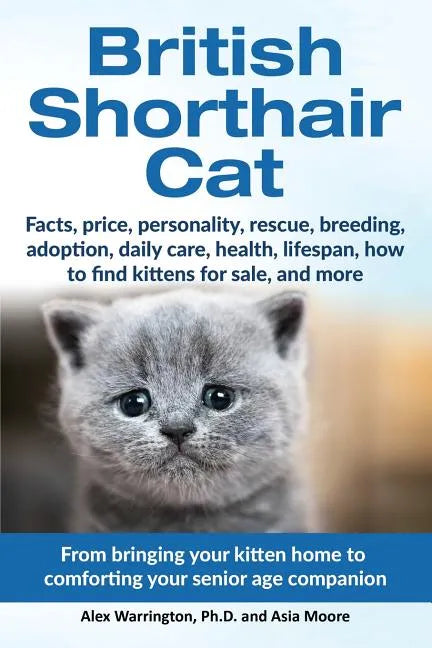 British Shorthair Cat: From bringing your kitten home to comforting your senior age beloved companion - Paperback